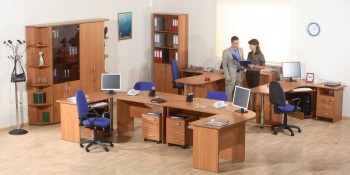 Мебель для персонала Альфа 61 Ольха в Юном Ленинце - yunyj-leninec.mebel54.com | фото